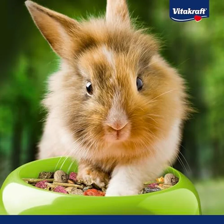 Vitakraft Premium Menü Vital für Zwergkaninchen, artgerechte Mischung mit Rohfaser, Gemüse und Vitalkomplex, 1 kg – Bild 5
