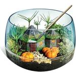 Clementoni Harry Potter Terrarium (19286) - Kreatives Bastel-Set für Fans der Wizarding World