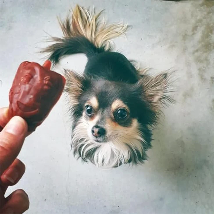 Duvo+ Garden Bites Veggie Friends, Hundesnack mit 280 g für gesunde Ernährung – Bild 3