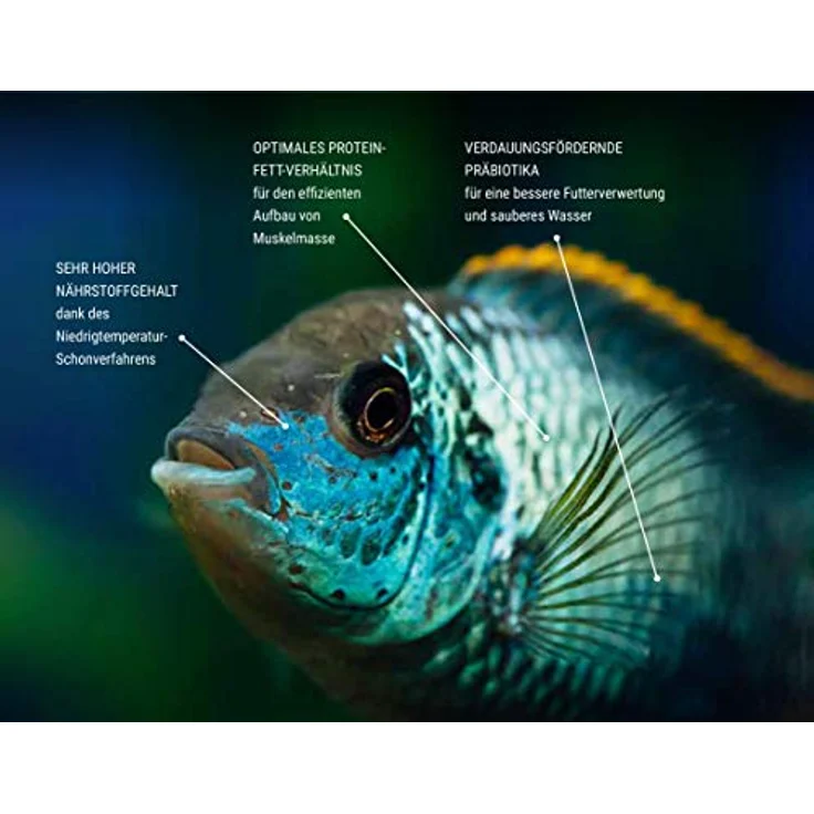 Tetra Pro Algae Multi-Crisps, Premium Fischfutter mit Algenkonzentrat für erhöhte Widerstandskraft, 500 ml, geringe Wasserbelastung – Bild 5