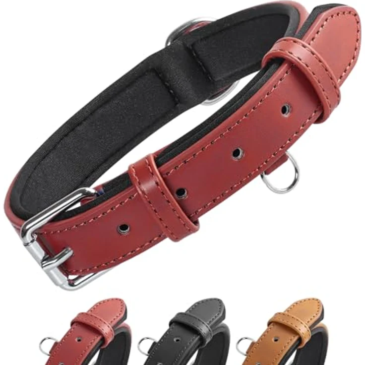 Grand Line Leder Hundehalsband, Verstellbares, Weich Gepolstertes & Breites Halsband für Kleine, Mittlere, Große Hunde, Rot, XS – Bild 1