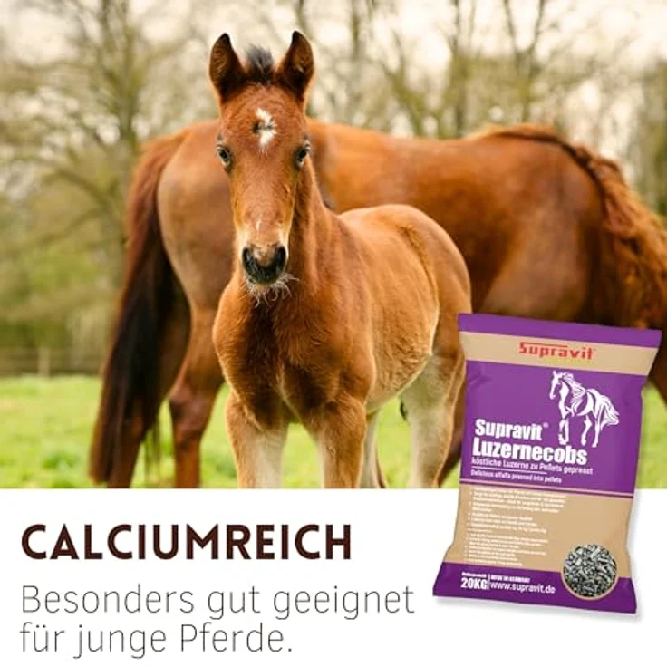 Supravit Luzernecobs 20kg, energiereiches Pferdefutter mit hohem Carotingehalt, staubfreie Pellets für Jung- und Sportpferde – Bild 4