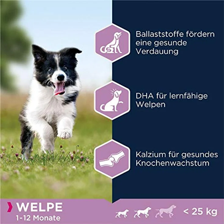 Eukanuba Welpenfutter mit Lamm & Reis, Trockenfutter für kleine und mittelgroße Rassen, 12 kg - Hochwertige Rezeptur für gesunde Verdauung und kognitive Entwicklung – Bild 5