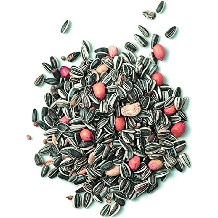 Erdtmann's Meisenfutter, 25 kg Mischfütterung mit Sonnenblumenkernen, Erdnüssen und Hanfsaat für Wildvögel – Bild 2