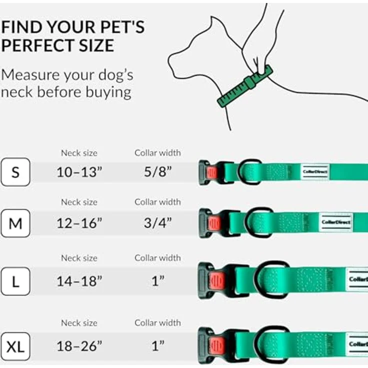 CollarDirect Wasserdichtes Hundehalsband M, Verstellbar, Silikon & Kunststoff, Geruchsresistent, Leicht zu Reinigen, Sicherheitsverschluss, Minzgrün (30-40 cm) – Bild 5