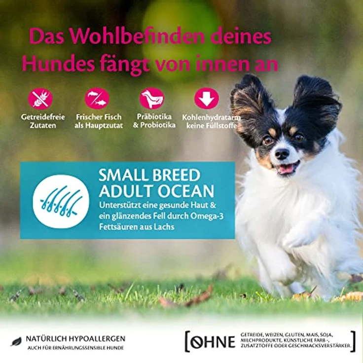 Wellness CORE Small Breed Ocean, Trockenfutter für kleine Hunde, Lachs & Thunfisch, 1,5 kg, getreidefrei, ohne Zuckerzusatz, hoher Fleischanteil – Bild 4