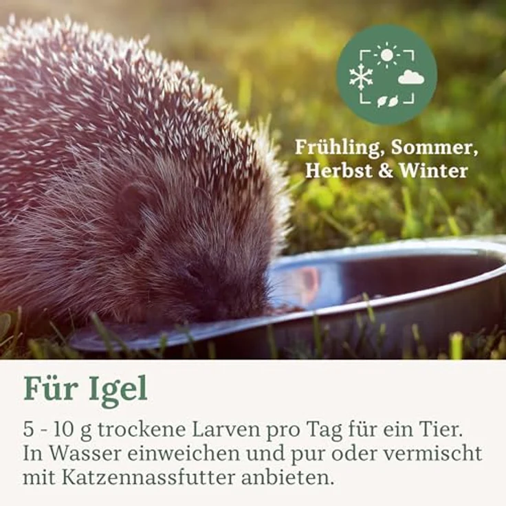 Orni Mehlwürmer getrocknet 500g, Premium Insektenfutter für Wildvögel, Igel, Fische & Eichhörnchen, 100% naturbelassen, ohne Zusatzstoffe – Bild 5