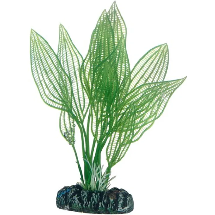 HOBBY Aquariendeko Aponogeton 16 cm, künstliche Aquariumpflanze auf Felsenbasis, naturgetreu beweglich