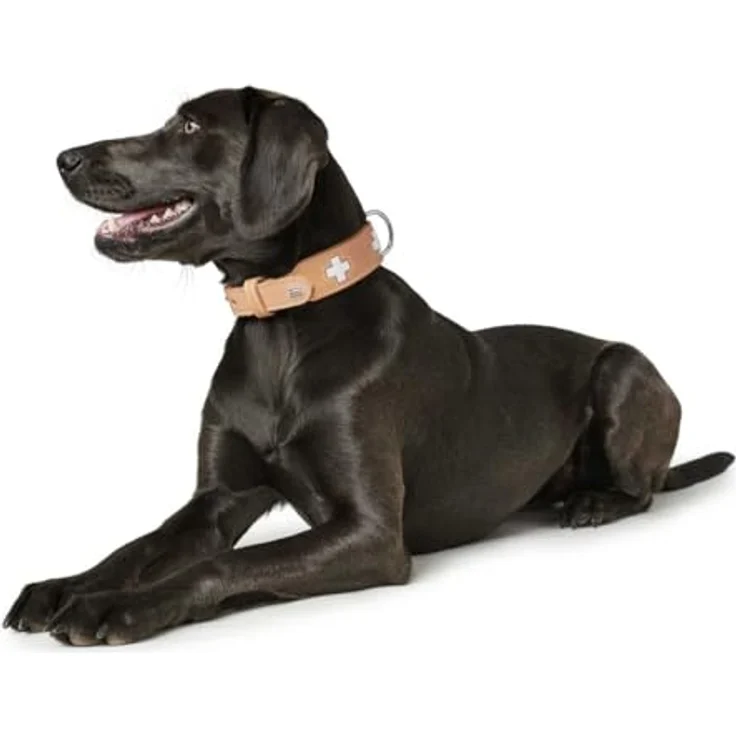 Hunter Hunde-Halsband Swiss natur XXS-XS – Bild 5