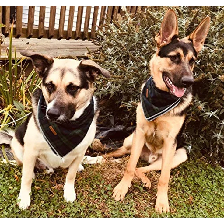 Unique style paws Hundeschal, Waschbares Halsdreieck aus Baumwolle für kleine bis große Hunde und Katzen, Größe Klein bis Groß, 58cm-76.2cm Halsumfang – Bild 3