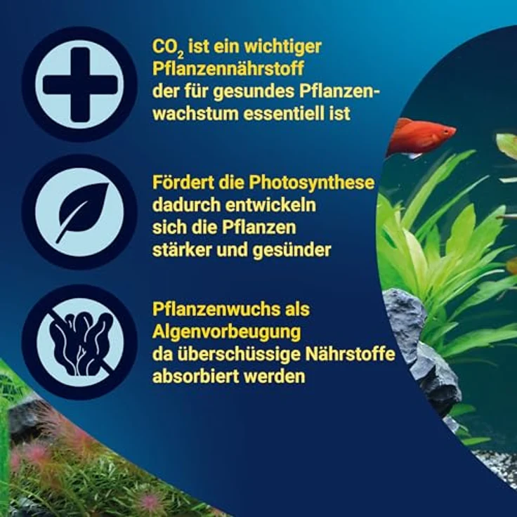 Tetra CO2 Plus flüssiger Kohlenstoff-Dünger für Aquarienpflanzen, 250 ml Flasche mit biologischer CO2-Freisetzung bis zu einer Woche – Bild 4