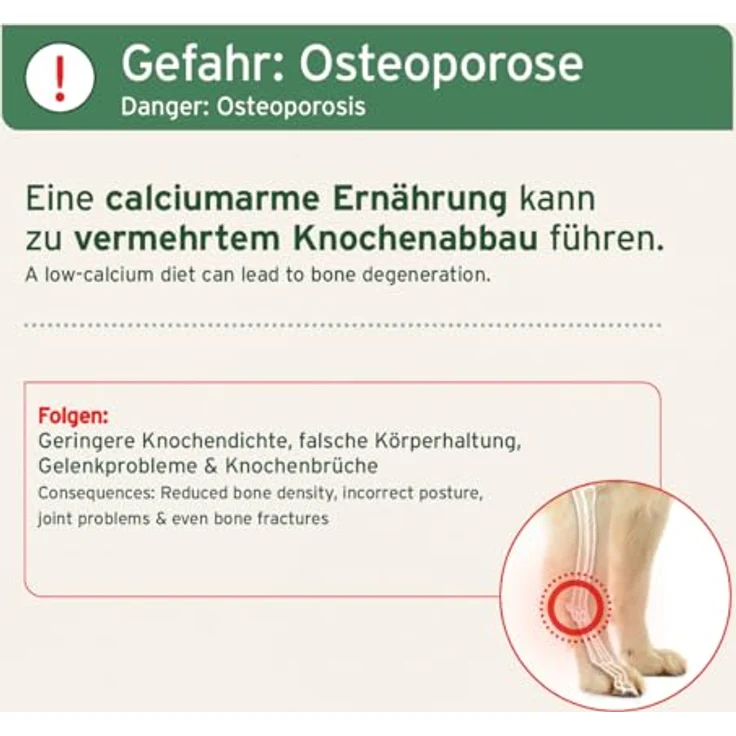 AniForte BARF-Line Gemahlene Knochen vom Pferd, hochwertige Calciumquelle für Hunde und Katzen, 1 kg – Bild 4