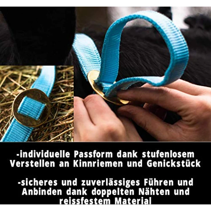 Pferdelinis Halfter für Kaltblut – Reißfestes Stall- und Weidehalfter, 2-fach verstellbar in Türkis – Bild 2