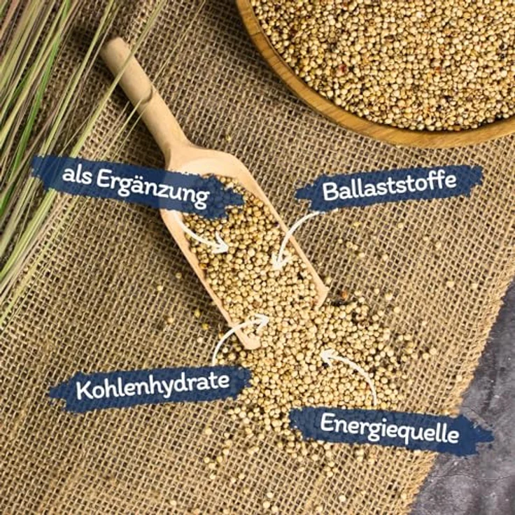 Lyra Pet® Dari weiß 20 kg, Ergänzungsfutter für Wildvögel & Kleinnager, reich an Kohlenhydraten & Ballaststoffen, nährstoffreiches ganzjähriges Vogelfutter aus Sorghum-Hirse – Bild 2