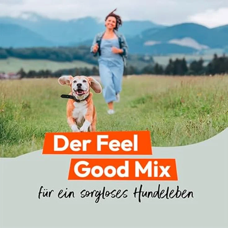 GRAU HOKAMIX30 Classic Pulver, Kräutermischung mit 30 wichtigen Kräutern zur Vorsorge, Ergänzungsfuttermittel für Hunde, 5 kg – Bild 2