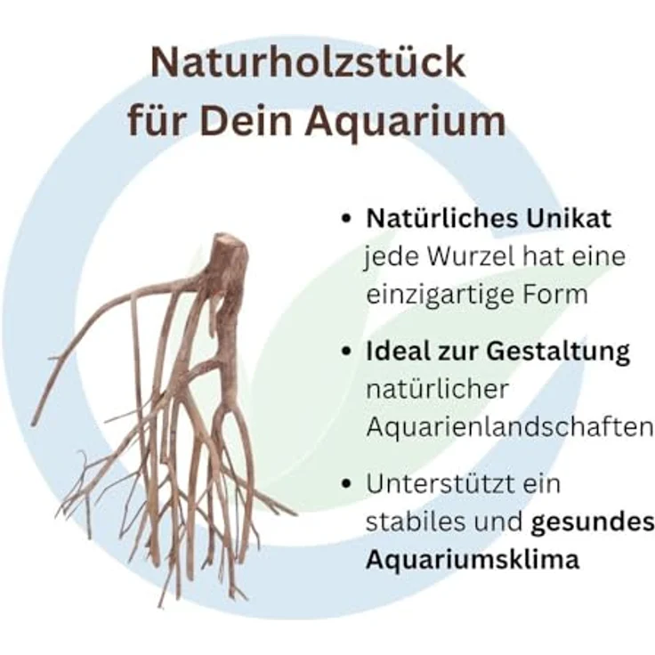 Aquaone Talawa Wurzel XL 50-70 cm, naturbelassene Aquarium Wurzel für Aquascaping, Herkunft Asien – Bild 3