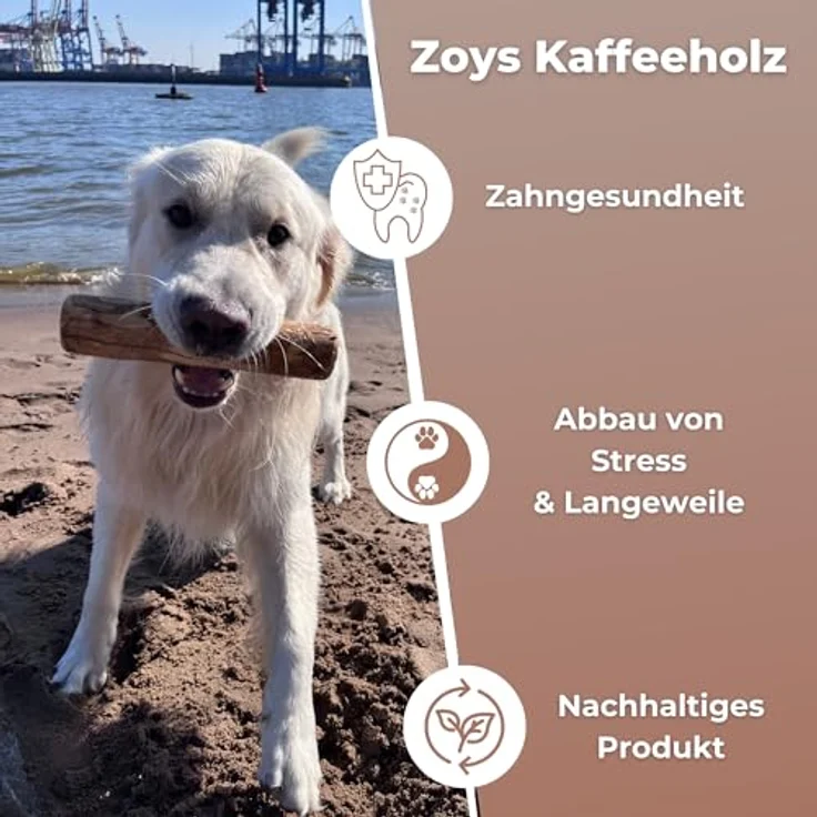 Zoys® Kaffeeholz für Hunde - Natürlicher Kauknochen S für Zahnreinigung & gesunde Kaumuskulatur, langlebig & splitterarm, 3 Stück – Bild 4