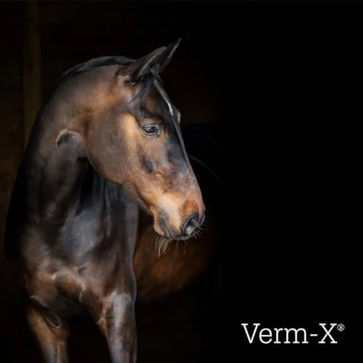 Verm-X Kräuterflüssigkeit für Pferde & Ponies, 500 ml, klare Formel ohne künstliche Chemikalien, Unisex – Bild 5