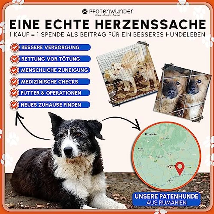 PfotenWunder® XXL-Profi-Agility Set für Hunde, inkl. 3 Meter Tunnel, 6 Slalomstangen und 21 Min. Trainingsvideo zur Hundeschule, ideal für kleine & große Hunde – Bild 5