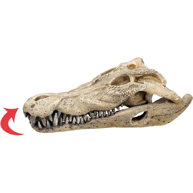 Nobby Aqua Ornaments Krokodil Schädel, detailgetreue Aquarium Dekoration aus ungiftigem Polyresin, geeignet für Süß- und Meerwasser