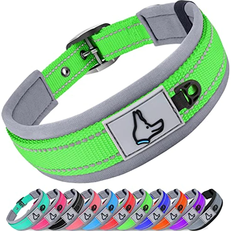 Joytale Hundehalsband, Gepolstertes Neoprenhalsband für Extra Große Hunde, Nylon Reflektierend, Grün – Bild 1