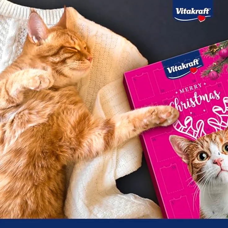 Vitakraft Adventskalender für Katzen, 24 leckere Snacks für Weihnachten 2025, 363g, für alle Altersstufen – Bild 4