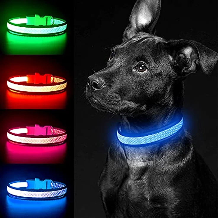 YFbrite LED Leuchthalsband für Hunde, Aufladbar, Wasserdicht, 3 Leuchtmodi, Verstellbar, Blau, L – Bild 1