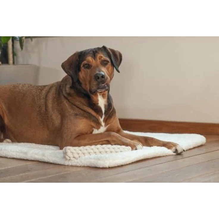 Beeztees Osa, Hundespielzeug aus Baumwolle und Kaffeeholz, Größe M, 34 cm, ideal für stundenlangen Spielspaß – Bild 4