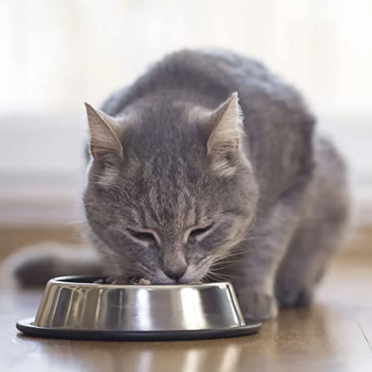 Beaphar Nierendiät Mix Pack, 600g, Katzen-Nassfutter mit 6 Geschmacksrichtungen zur Unterstützung der Nierenfunktion – Bild 4