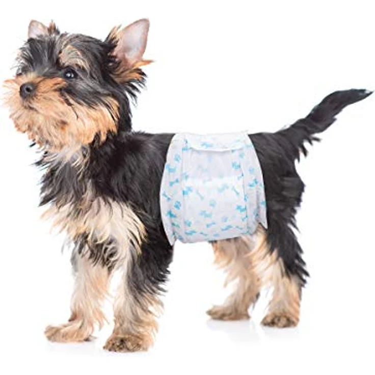Flying Paws Rüdenwindel XS, 60 Stück Einweg-Hundewindeln mit hoher Saugkraft für Rüden, Passform 15-33 cm, atmungsaktives Design mit süßen Pfotenmustern – Bild 1