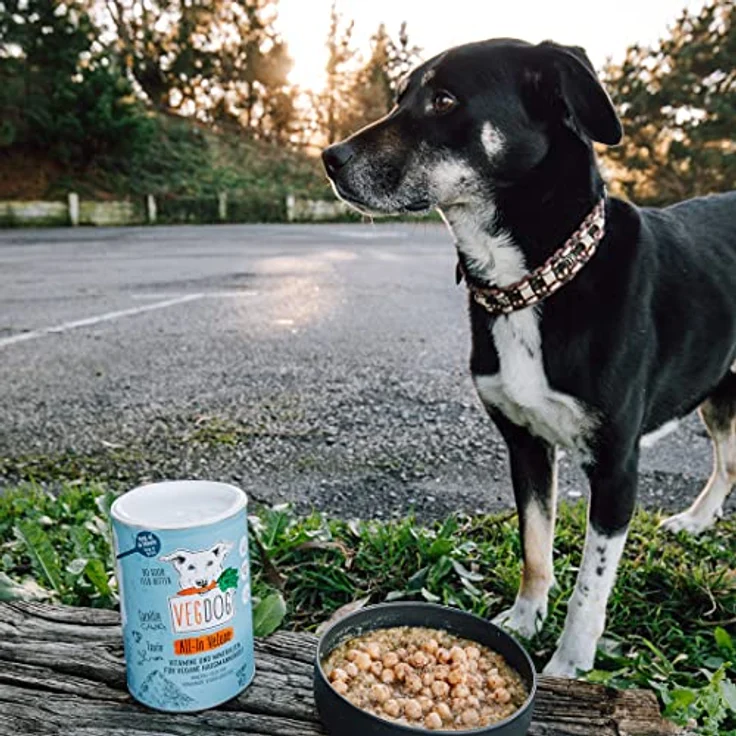 VEGDOG All-In Veluxe hypoallergenes Mineralpulver, 650 g zur Zubereitung pflanzlicher Hundenahrung, ideal für Allergiker – Bild 3