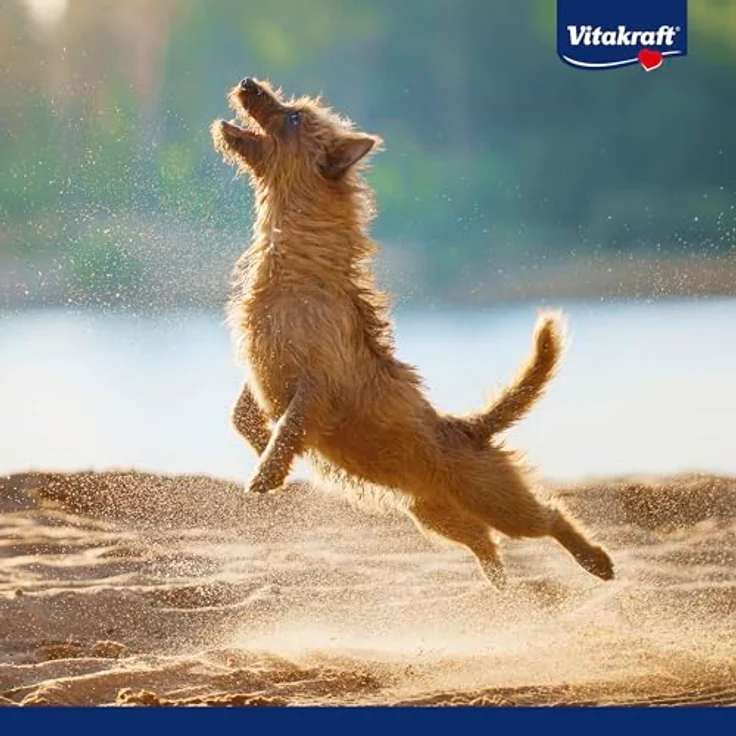 Vitakraft Vita Goodies Dental, Hundesnack mit Braunalgen für Zahnpflege, 60g – Bild 6