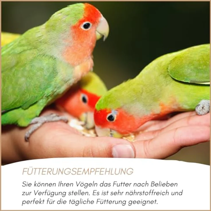 Supravit Agaporniden & Neophemafutter 5kg, ausgewogene Mischung aus gesunden Körnern und Saaten für Sittiche und Papageien, vitaminreich und artgerecht – Bild 5