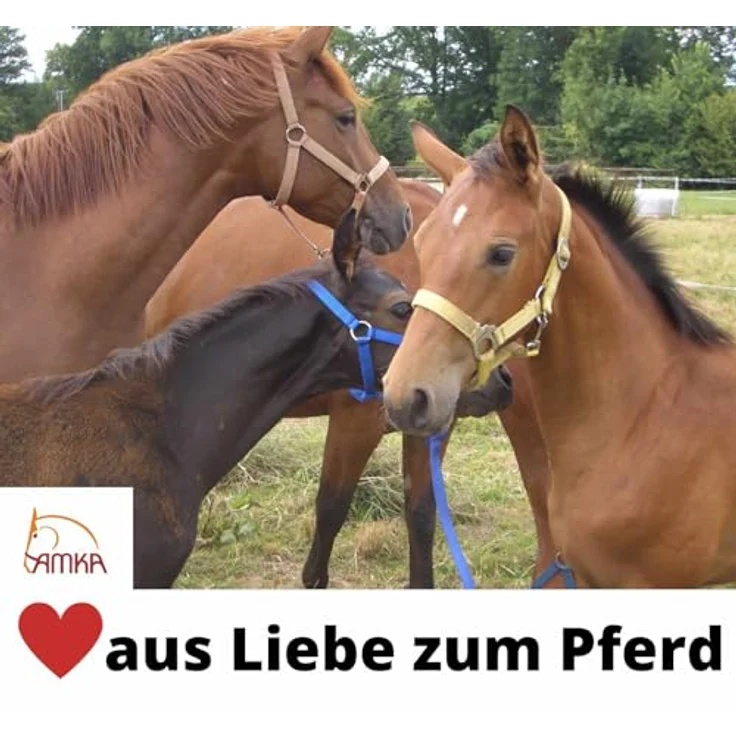 AMKA Pferde Weideoutdoordecke HIGH Neck 1200D, 50 g Füllung, wasserdicht und atmungsaktiv, dunkelblau/weinrot, mit Kreuzgurten und Schweiflatz – Bild 5