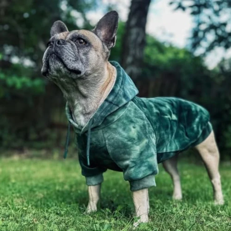 Spark Paws Hunde-Kapuzenpullover, Premium-Qualität, samtweich, mit Fleece-Innenfutter, geeignet für große Rassen, Green Skydye, Größe XL – Bild 4