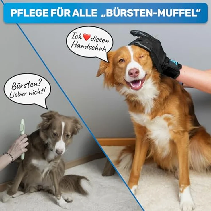 BluePet Fellpflegehandschuh für Hund, Katze & Pferd - sanfter Entferner von Tierhaaren, für Lang- und Kurzhaar, ohne toxische Weichmacher – Bild 2