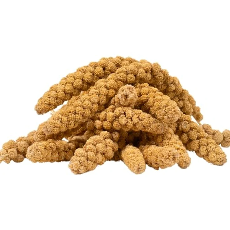 Lyra Pet® Kolbenhirse gelb 3 kg, Ganzjähriges Vogelfutter für Ziervögel & Wildvögel, Handverlesene, naturbelassene Hirsekolben – Bild 1