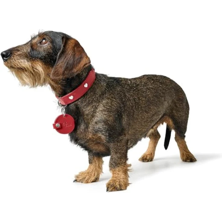 HUNTER Anhänger Hundemarken-Etui Love, rotes Etui für Hundemarken, Größe S, Made in Germany – Bild 2
