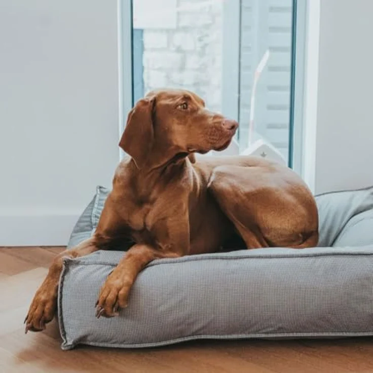 Hunter Hunde-Bett Lancaster grau M – 80x60x18 cm – Bild 7