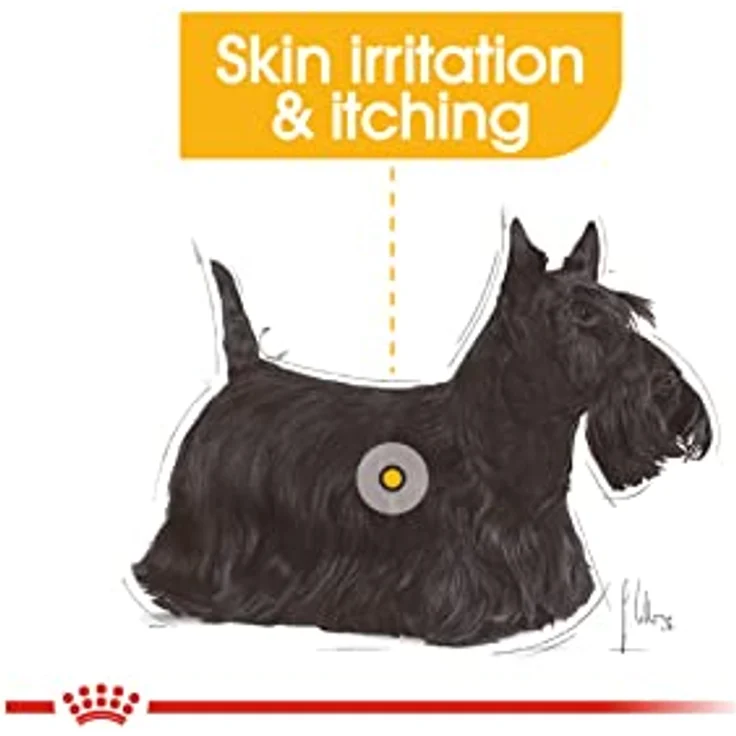 Royal Canin DERMACOMFORT MINI, Trockenfutter für kleine Hunde mit empfindlicher Haut, 3kg, mit Omega-3- und -6-Fettsäuren – Bild 4