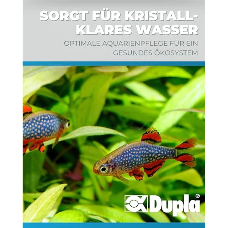 Dupla 80562 Duresin SI, Silikatharz 1 l, regenerierbarer Anionenaustauscher für Wasseraufbereitung – Bild 4