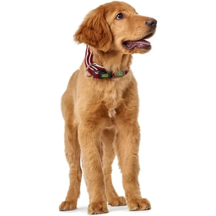 Hunter Hunde-Halsung Hilo Vario mit Zugentlastung rot L-XL – Bild 4
