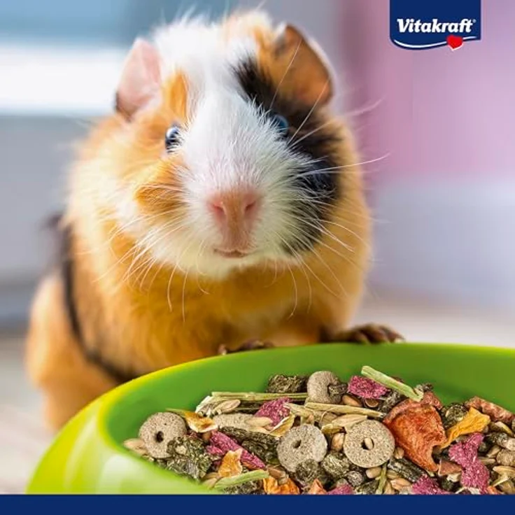 Vitakraft Menü Vital für Meerschweinchen, Komplettfutter mit hohem Fasergehalt, 5 kg, ohne Zuckerzusatz – Bild 5