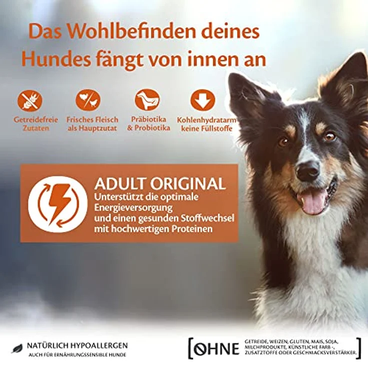 Wellness CORE Original, Trockenfutter für Hunde, Pute & Huhn, 10 kg, getreidefrei, ohne Zuckerzusatz, hoher Fleischanteil, fördert gesunde Verdauung und Energie – Bild 4