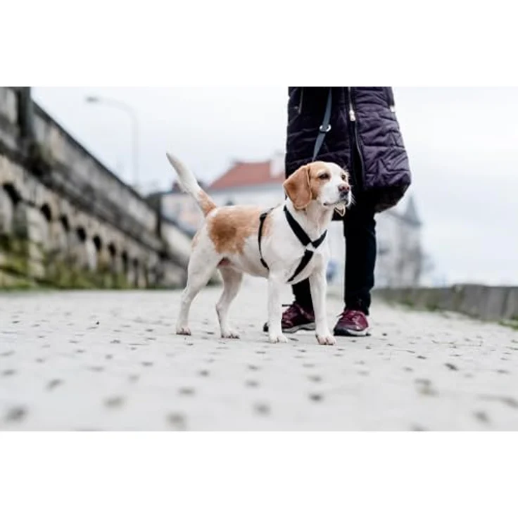 Chaba Guard Hundegeschirr M, Classic Step-in Brustgeschirr für kleine und mittelgroße Hunde, Anti-Zug & Würgen, verstellbar, bequem und leicht, schwarz – Bild 2