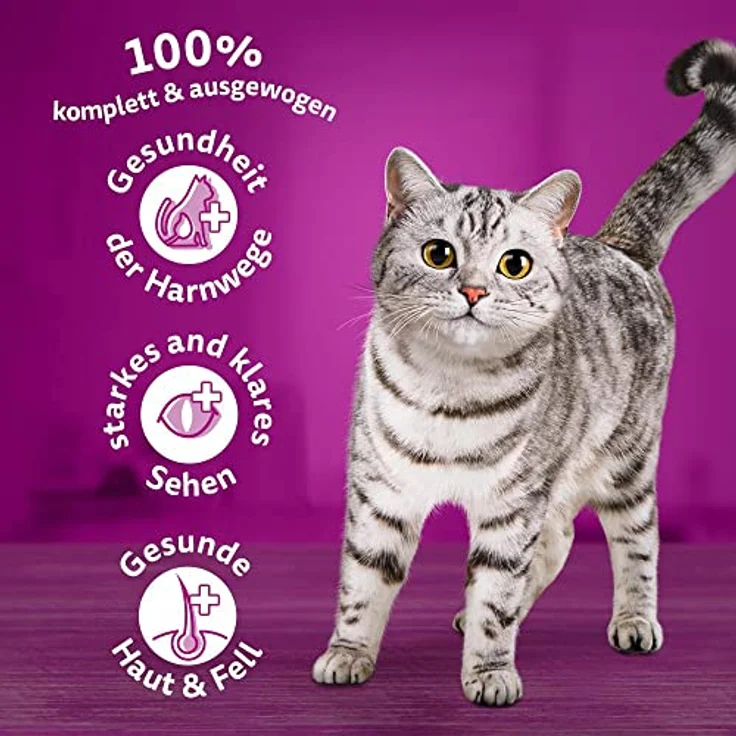 WHISKAS Katzen Trockenfutter Adult 1+ mit Huhn, 3,8kg Beutel, unterstützt Harnwegsgesundheit, mit Vitamin A und Zink – Bild 3