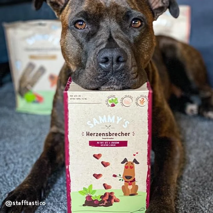 Bosch Sammy´s Herzensbrecher, 800g ofenfrische Hundesnacks für die Fellnase – Bild 5