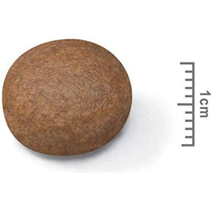Royal Canin Digestive Care Medium, Trockenfutter für mittelgroße Hunde mit empfindlicher Verdauung, 12 kg – Bild 2
