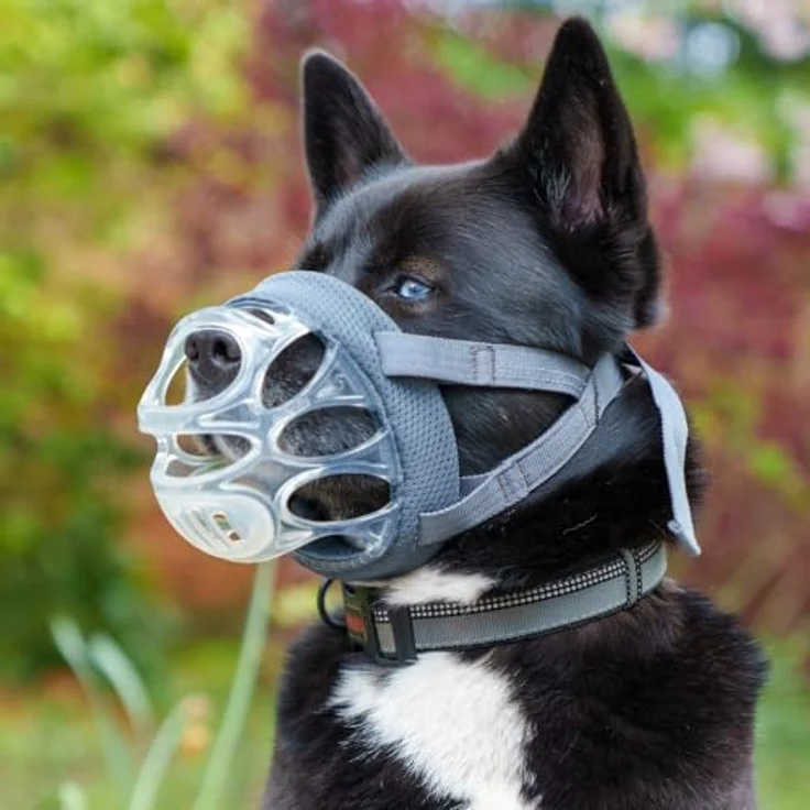 Baskerville INVISA Maulkorb Größe 5, patentiertes hundefreundliches Design, gepolstert, verstellbar, transparentes TPE, schützt vor Beißen und Stöbern – Bild 2