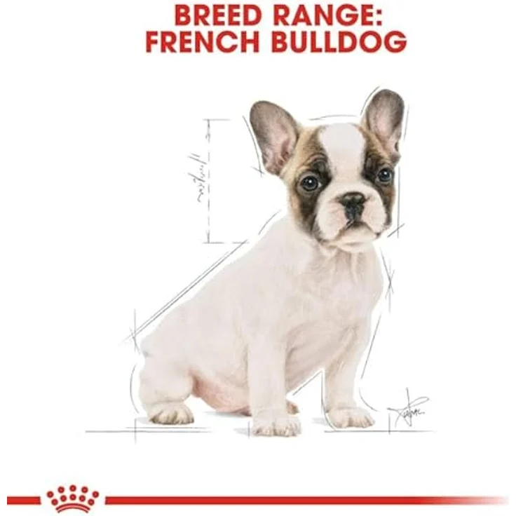 Royal Canin French Bulldog Puppy, 3 kg Trockenfutter für Französische Bulldoggen Welpen, unterstützt die Verdauung und das Immunsystem – Bild 4